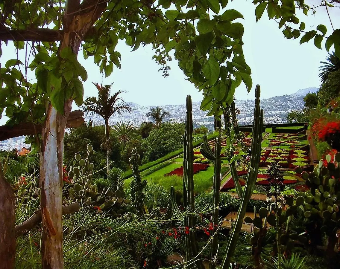 Apartment - The Historical Center Of Funchal In Alojamento Local