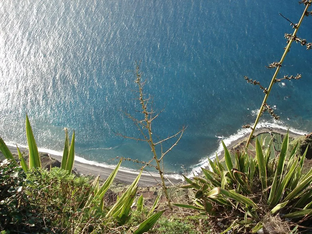 Apartment - The Historical Center Of Funchal In Alojamento Local  Funchal (Madeira)