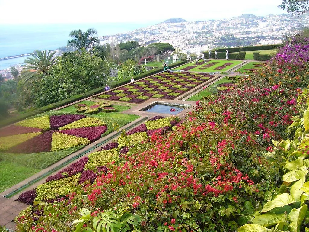 Apartment - The Historical Center Of Funchal In Alojamento Local Funchal (Madeira)