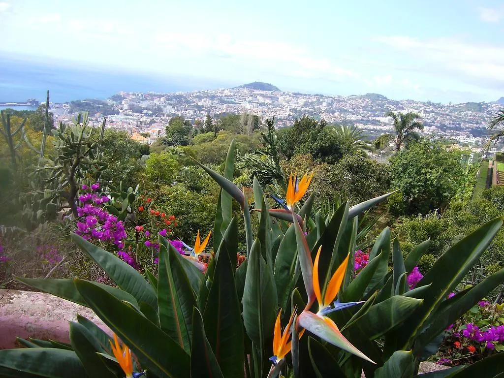 Apartment - The Historical Center Of Funchal In Alojamento Local